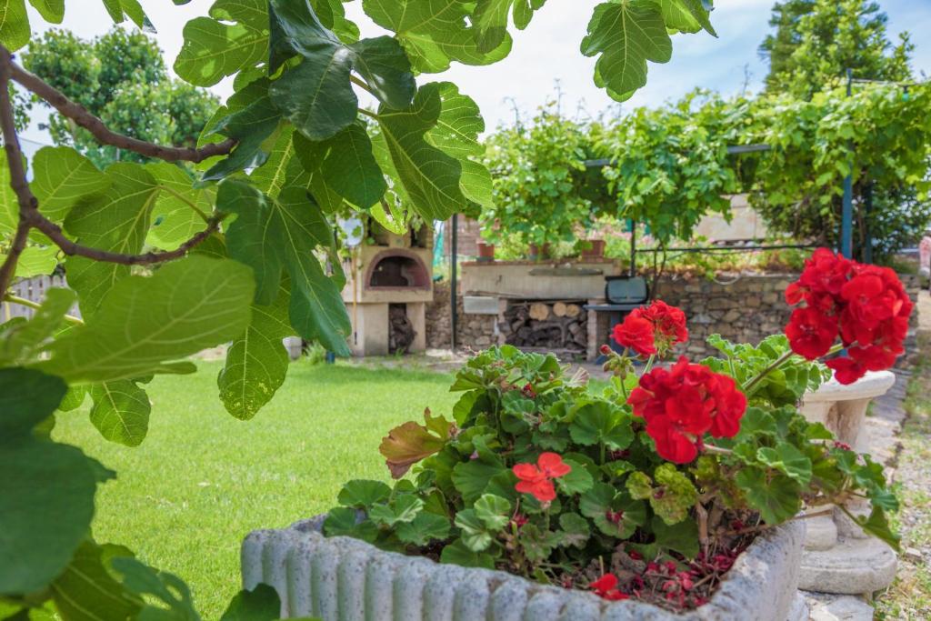 Country Home Il Passatempo - One-Bedroom House