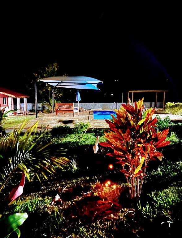 a garden with a bench and a blue umbrella at pousada vila das oliveiras in Pirenópolis