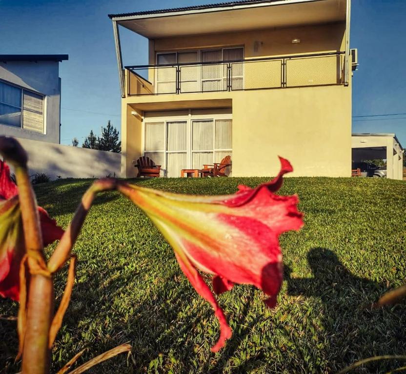 a leaf on the grass in front of a house at Serendipia Santa Ana in Santa Ana