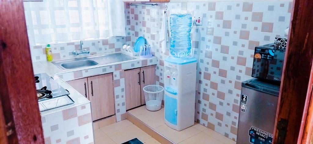 a small kitchen with a sink and a dishwasher at Vee's 1br Apartment at Lower Section 58 with Lakeviews in Nakuru