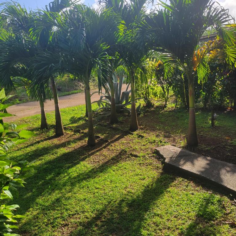 Giardino di Jacoway Inn
