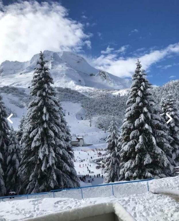 - une vue sur une station de ski avec des arbres enneigés dans l'établissement A la montagne, à Eaux-Bonnes