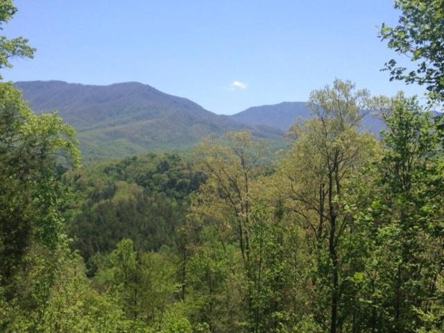 a view of a forest with mountains in the background at Pool table, pet friendly, hot tub, & mountain view, 3 bedrooms in Sevierville