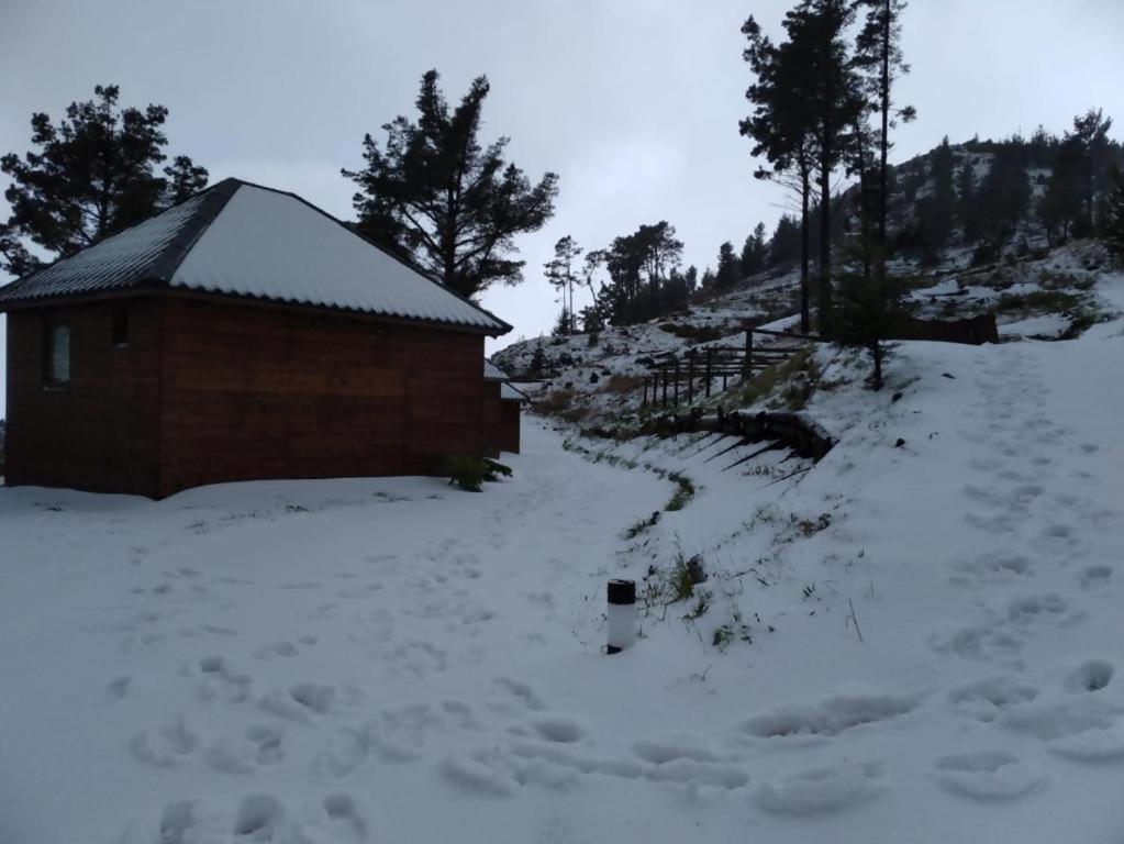 L'établissement Mountain Eco Shelter 2 en hiver
