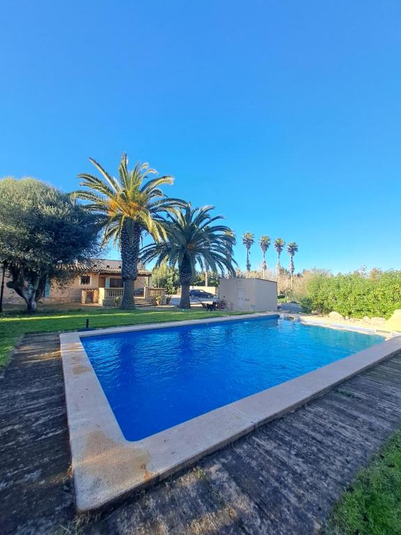 The swimming pool at or close to Es garballons