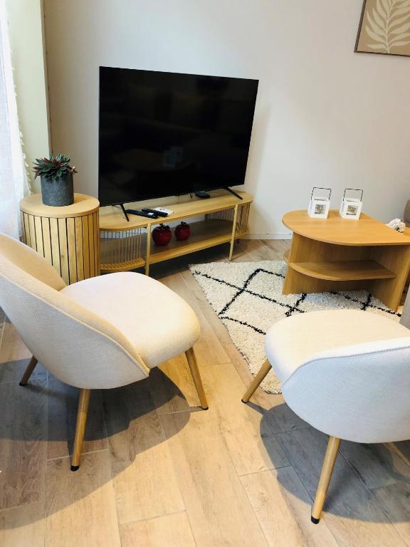 TV a/nebo společenská místnost v ubytování Vakantiewoning De Passerelle