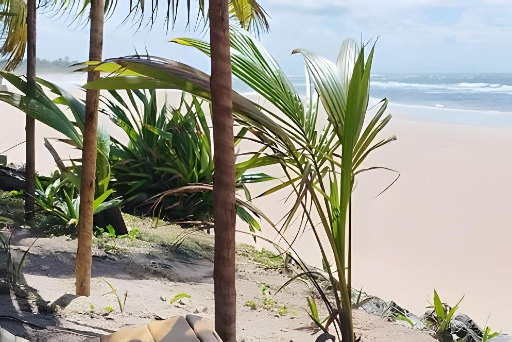 Příroda nedaleko prázdninového domu