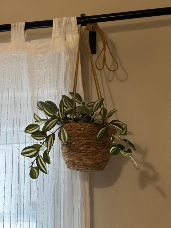 Cherry - HappyHostGr - Downtown Apartment - 12