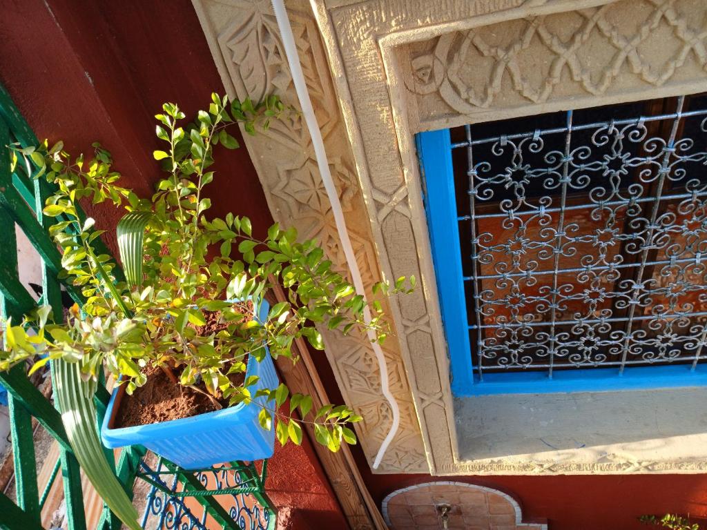 Fotografie z fotogalerie ubytování Riad Idrissi v destinaci Meknes