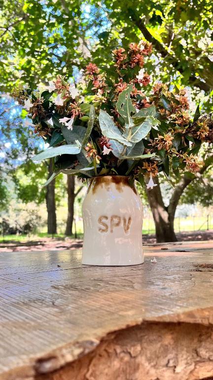 San Pedro de la Vigilancia - Turismo rural