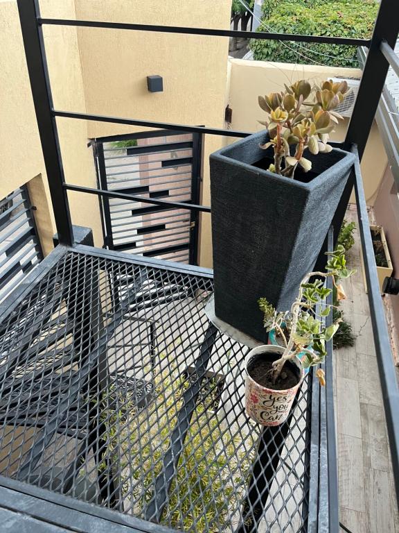 Fotografie z fotogalerie ubytování Hospedaje Catriel v destinaci Catriel