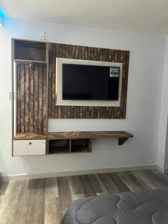 TV a/nebo společenská místnost v ubytování Hotel luxury Z