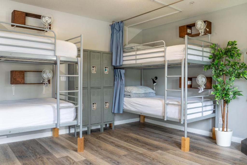 a room with bunk beds in a hostel at Samesun Banff Hostel in Banff