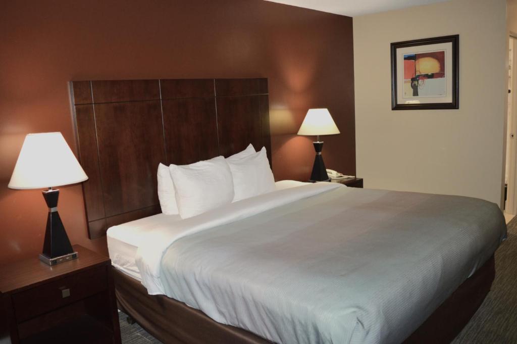 Quality Inn O'Hare Airport - 国王室