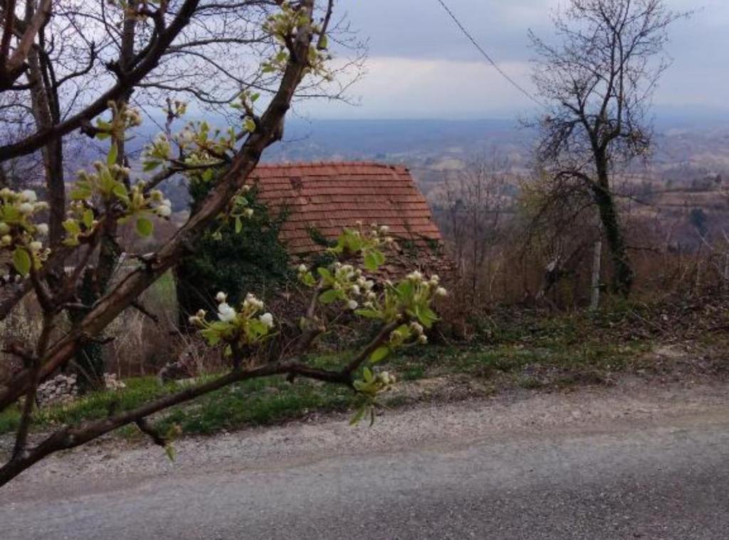 Plesivica Hillside Holiday Home with Hot -Tub
