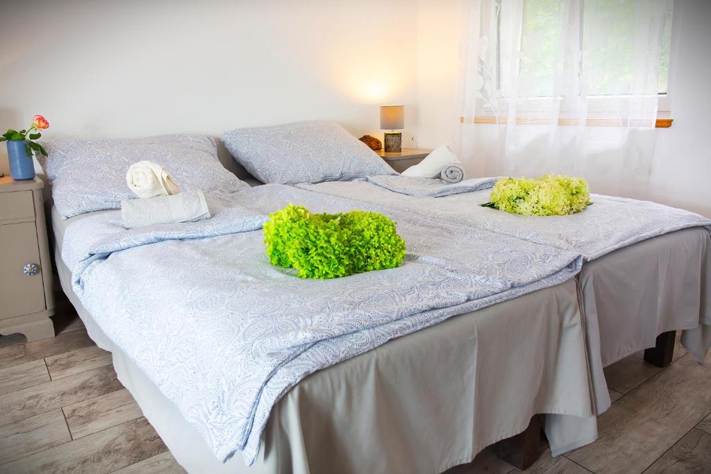 Wrzosowy Młyn - Twoje miejsce nad Jeziorem - Appartement 2 Chambres