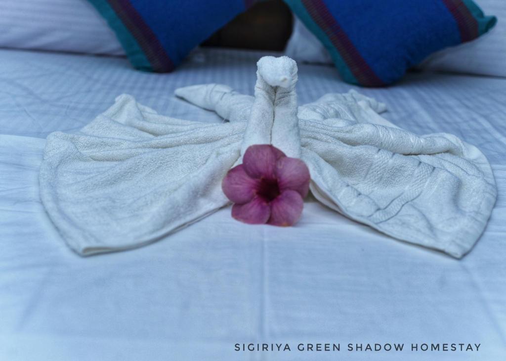 Postel nebo postele na pokoji v ubytování Sigiri Green Shadow Homestay
