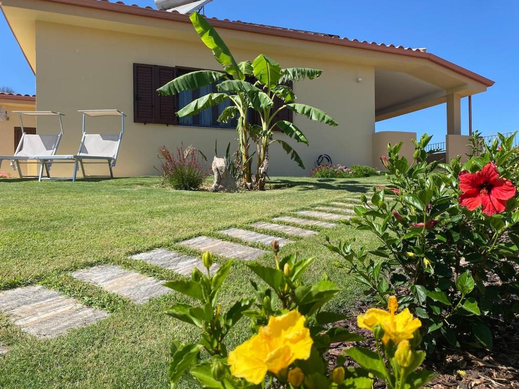 a cat sitting in the yard of a house at Bellavista in Castiadas