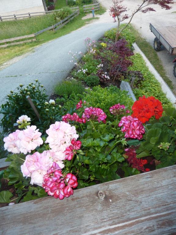 Haus Blatthofer - 17