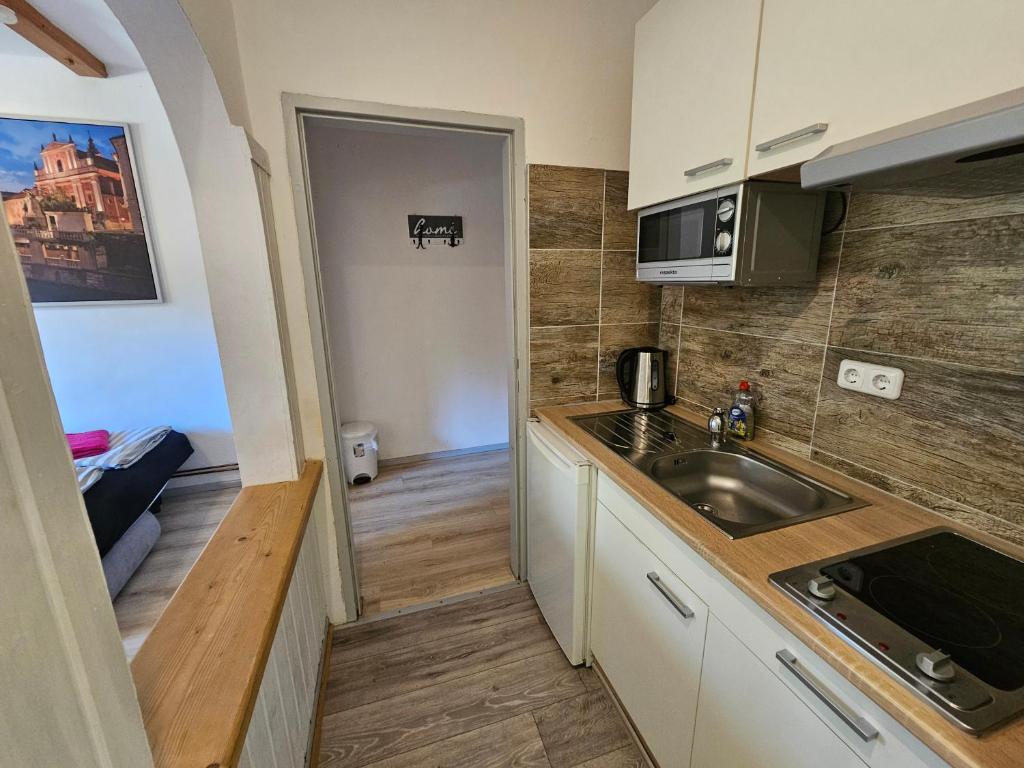 Kuchyň nebo kuchyňský kout v ubytování Karawanken Lodge