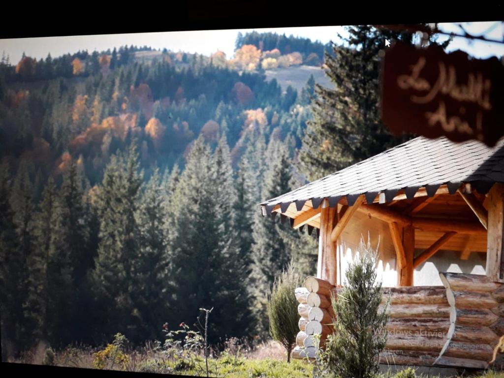 Naturlandskabet i nærheden af feriehuset