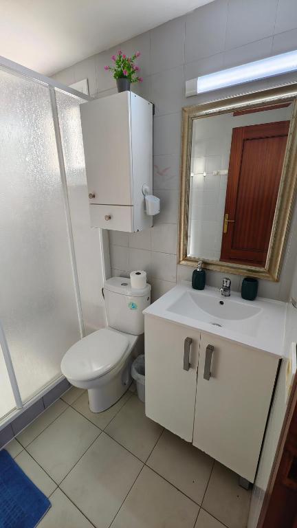 A bathroom at Apartamento Palmeras Del Sur