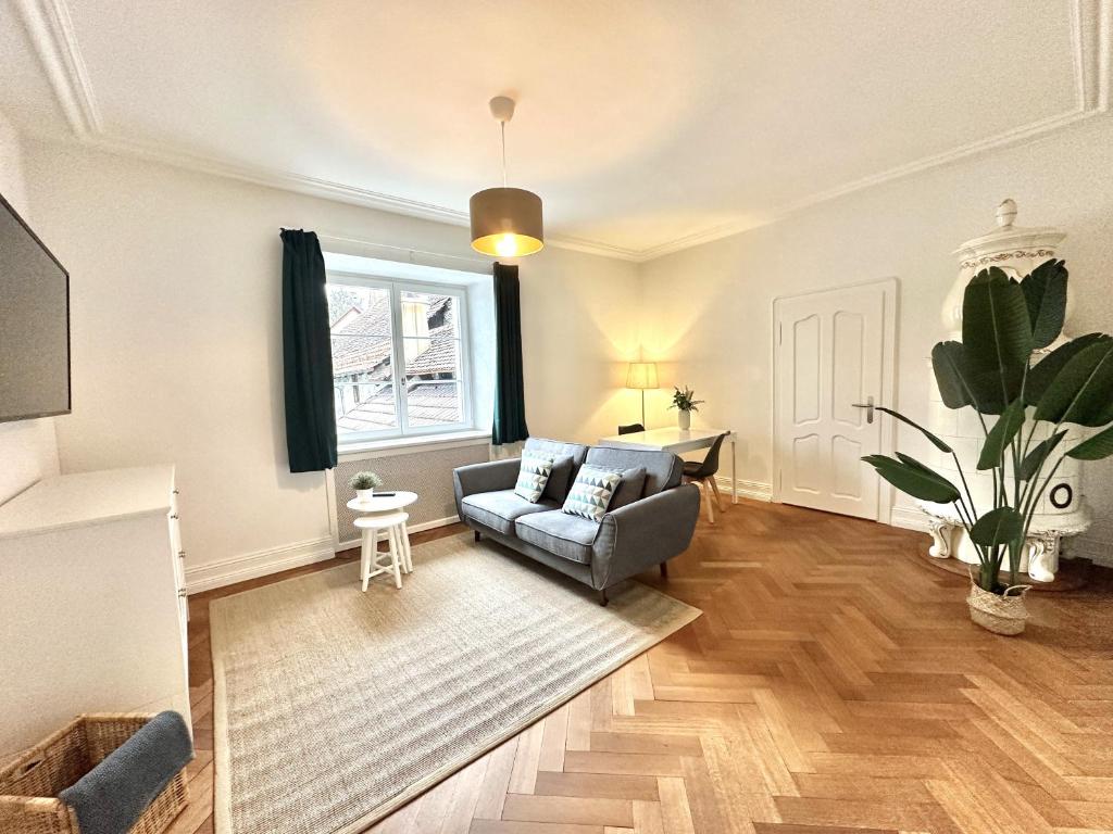 TV a/nebo společenská místnost v ubytování Business Apartment ZIMMERzuVERMIETEN in Solothurn