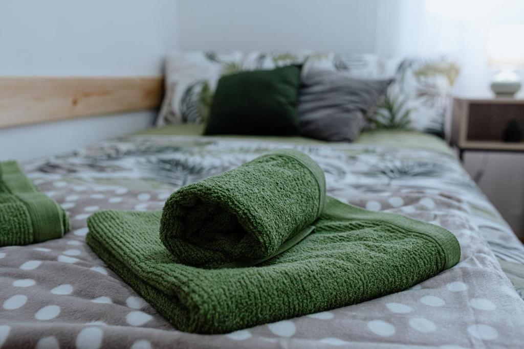 Postel nebo postele na pokoji v ubytování Apartman Matija, Mokra Gora