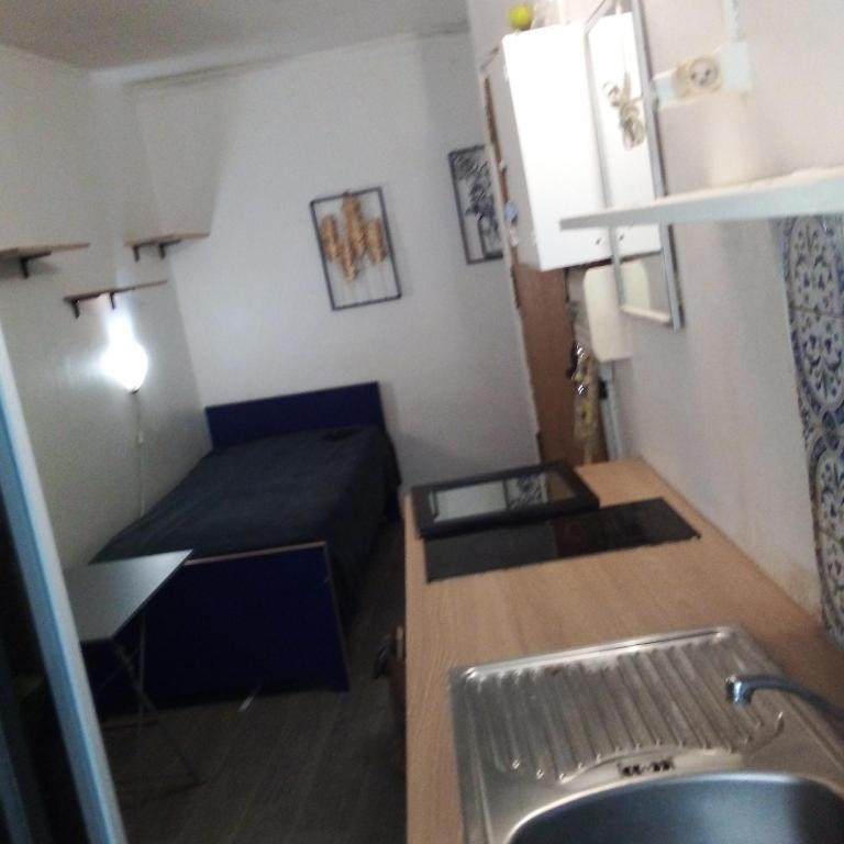 Cette petite chambre comprend un lit et un lavabo. dans l'établissement Studio Centre de Paris en face de la Seine, à Paris