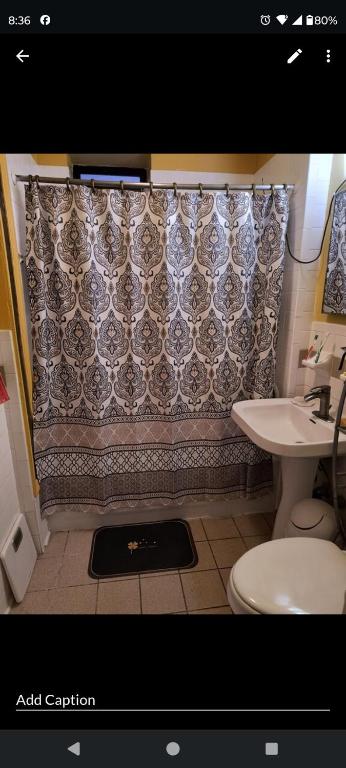 a bathroom with a toilet and a shower curtain at My apartment in New York