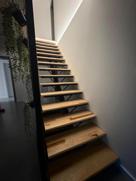 Oasis Airport Apartments and Rooms - 4