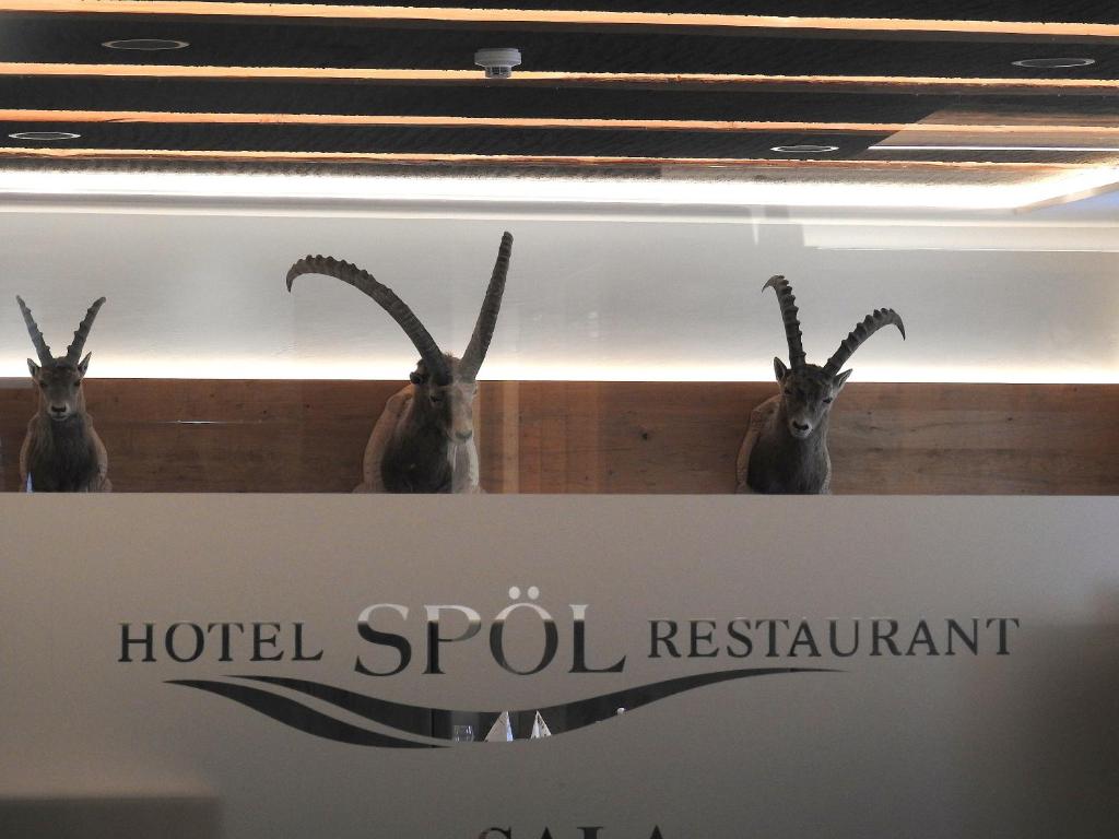 Certifikát, hodnocení, plakát nebo jiný dokument vystavený v ubytování Hotel Spöl Restaurant