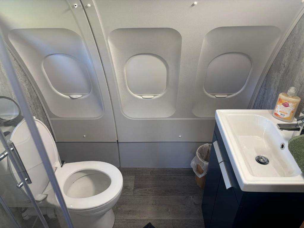 bagno con servizi igienici e lavandino in un aereo di Sky High Glamping a Shillelagh