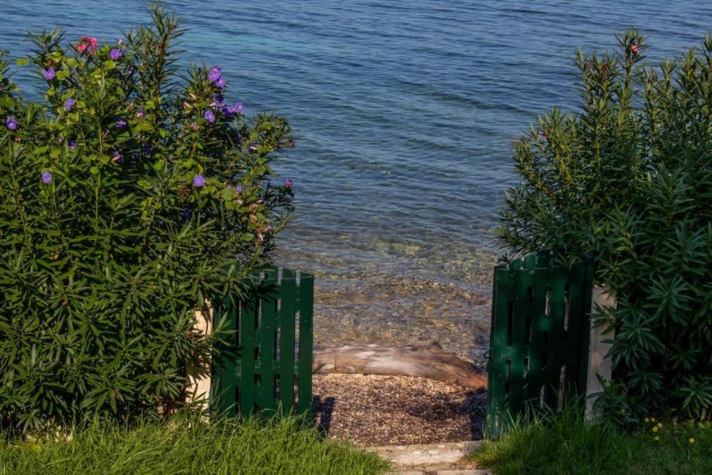 Phong cảnh thiên nhiên gần căn hộ