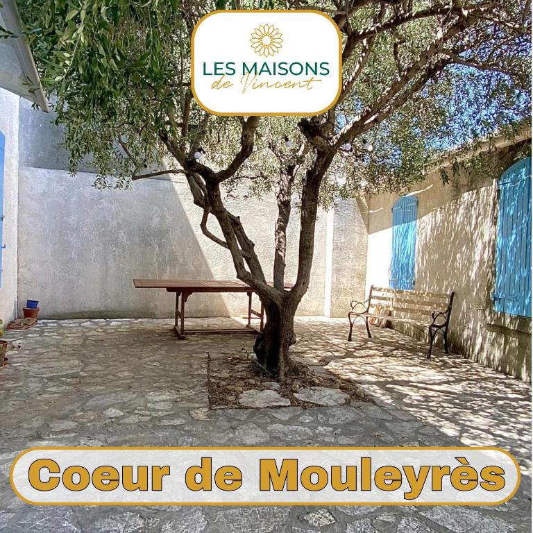 un arbre et un banc devant un bâtiment dans l'établissement Coeur de Mouleyrès - Maison avec Terrasse, à Arles