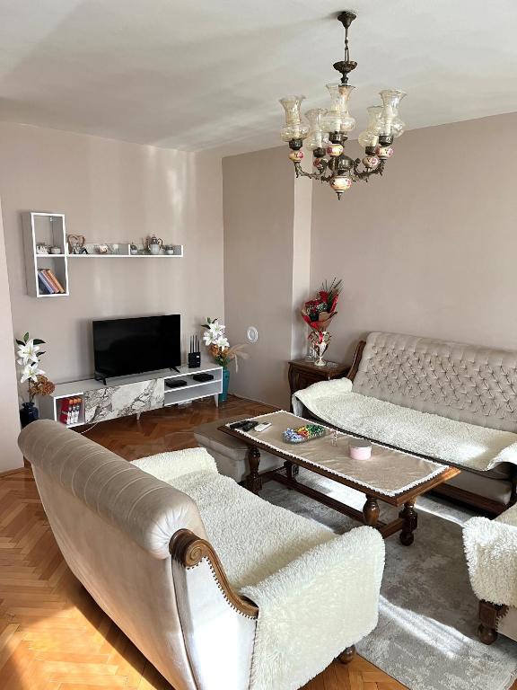 TV a/nebo společenská místnost v ubytování Apartment Vračar Nikšić
