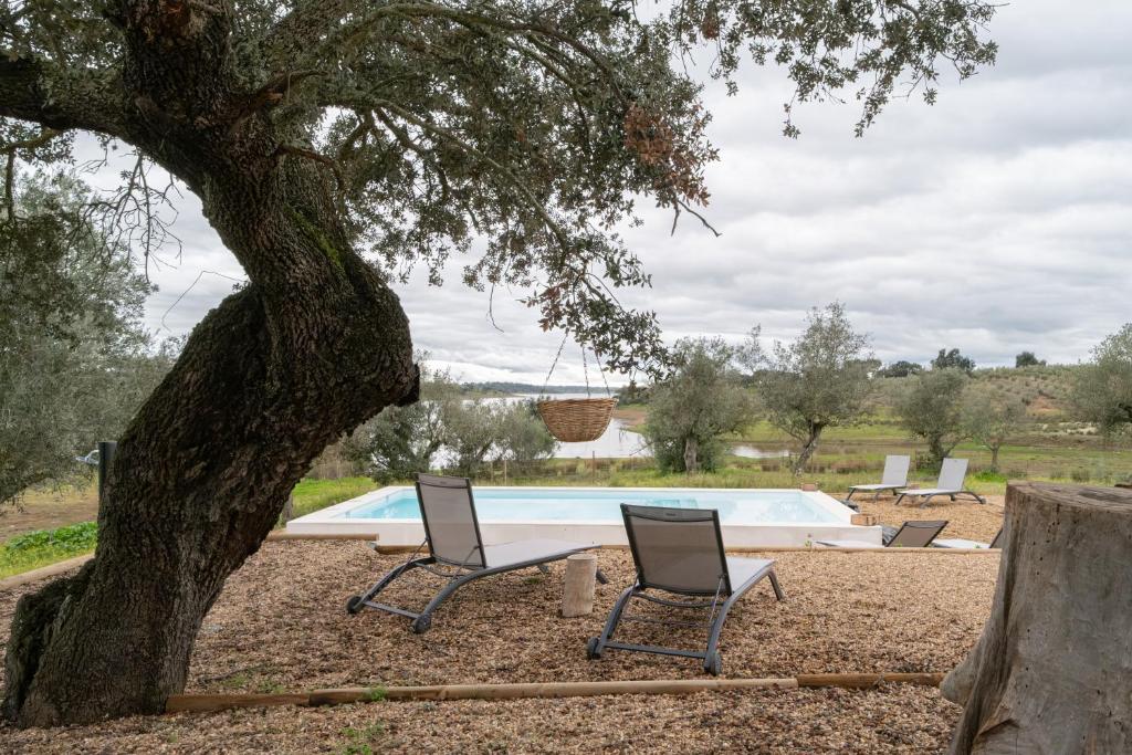 una piscina con due sedie e un albero di Monte Santo António - Alqueva a Mourão