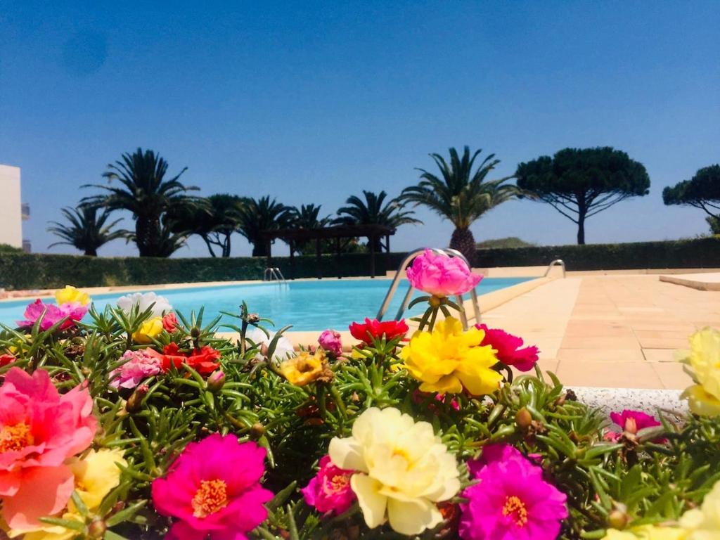 - un bouquet de fleurs devant la piscine dans l'établissement Joli studio les pieds dans l'eau avec piscine, à Saint Cyprien Plage