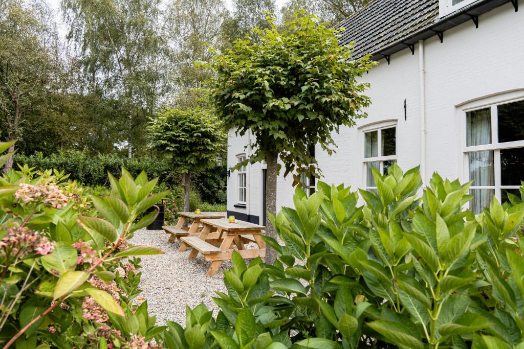Zahrada ubytování B&B Het Wellnest
