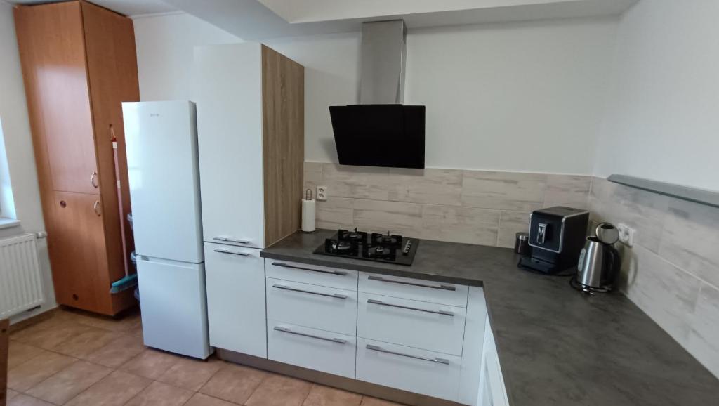 Kuchyň nebo kuchyňský kout v ubytování Apartmány Svítkov 79