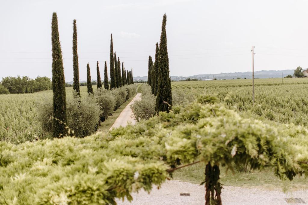 Dimora Buglioni Wine Relais - 6