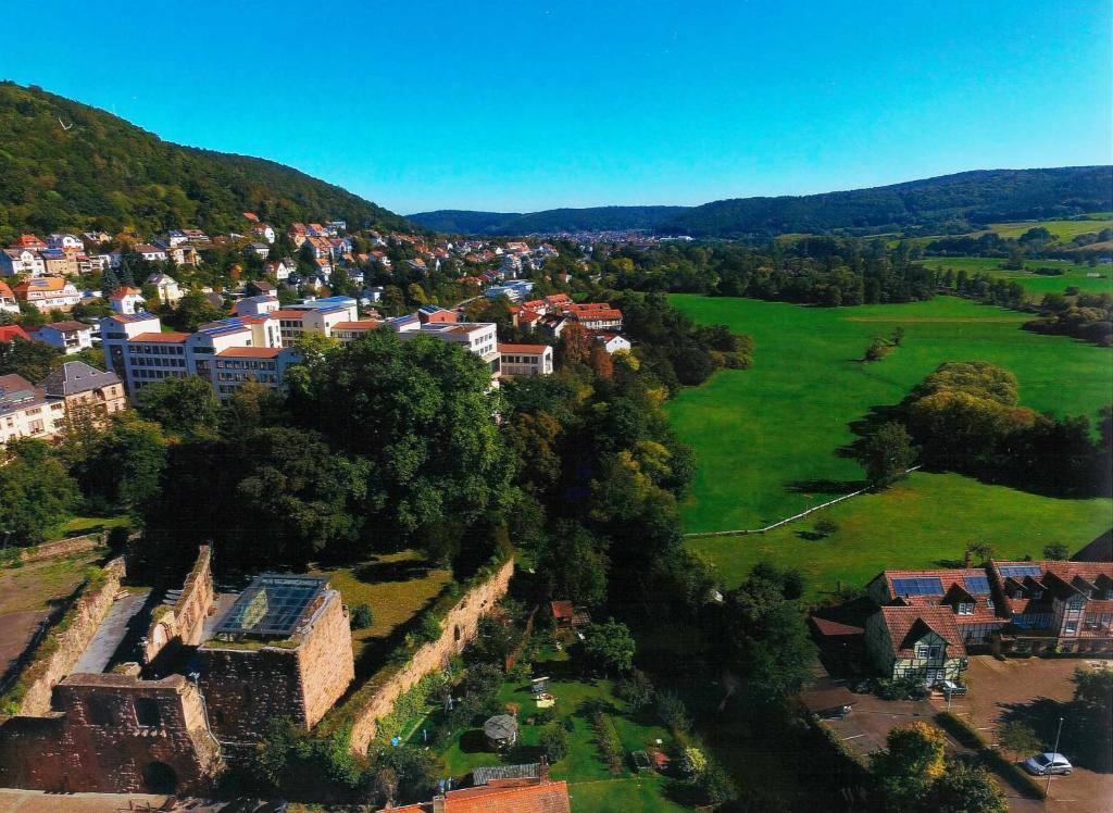 Příroda nedaleko hotelu