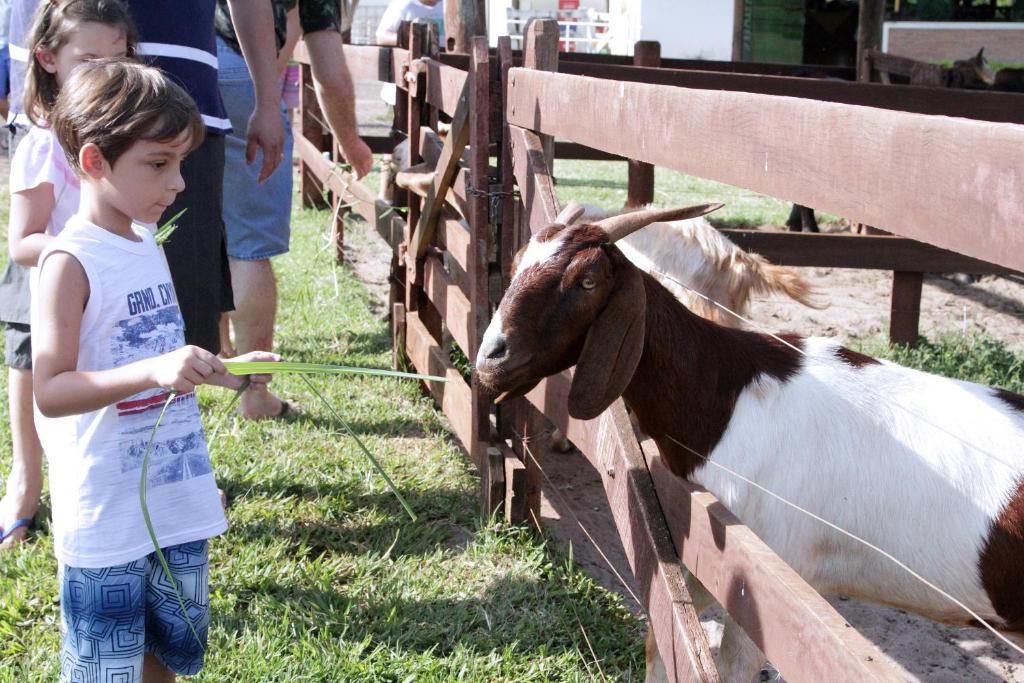  Hotel Fazenda Areia que Canta
