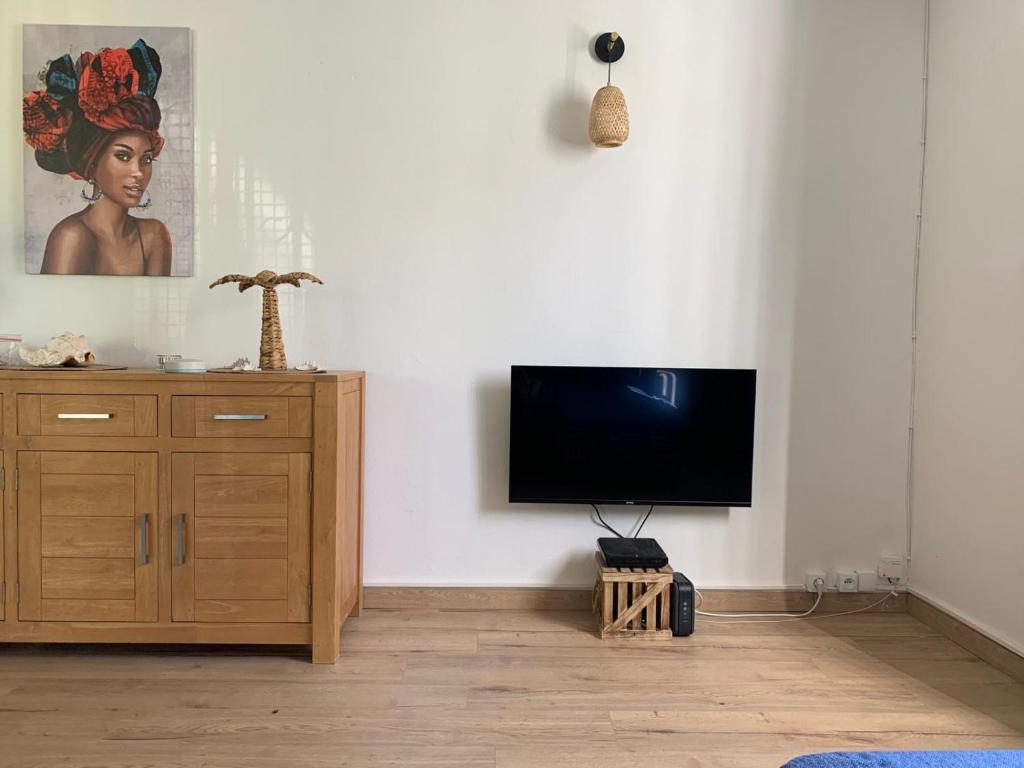 TV a/nebo společenská místnost v ubytování Villa Coco Caraïbes