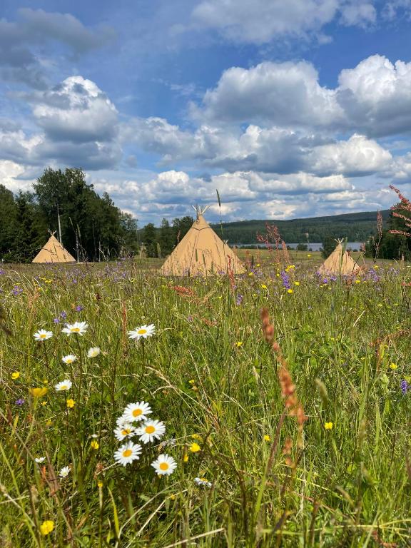 Příroda nedaleko luxury tent