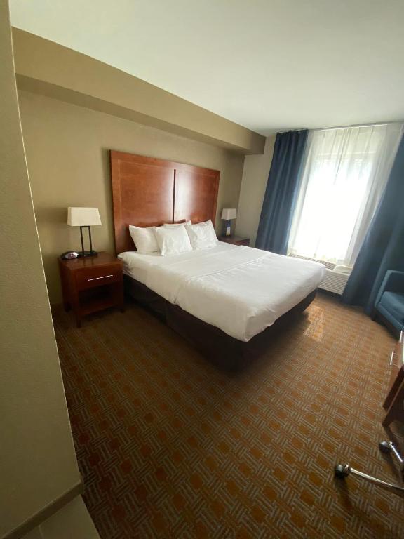Comfort Inn & Suites Brattleboro I-91 - Standard King Room - Niet -roken