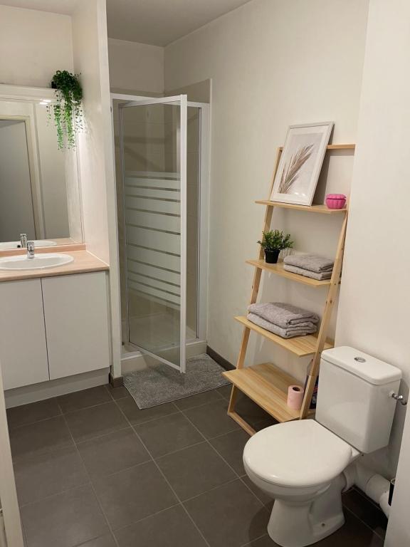a bathroom with a toilet and a sink at Appartement T1 Colomiers proche AIRBUS in Colomiers