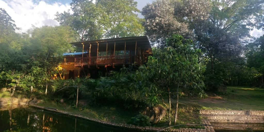 Příroda nedaleko luxury tent