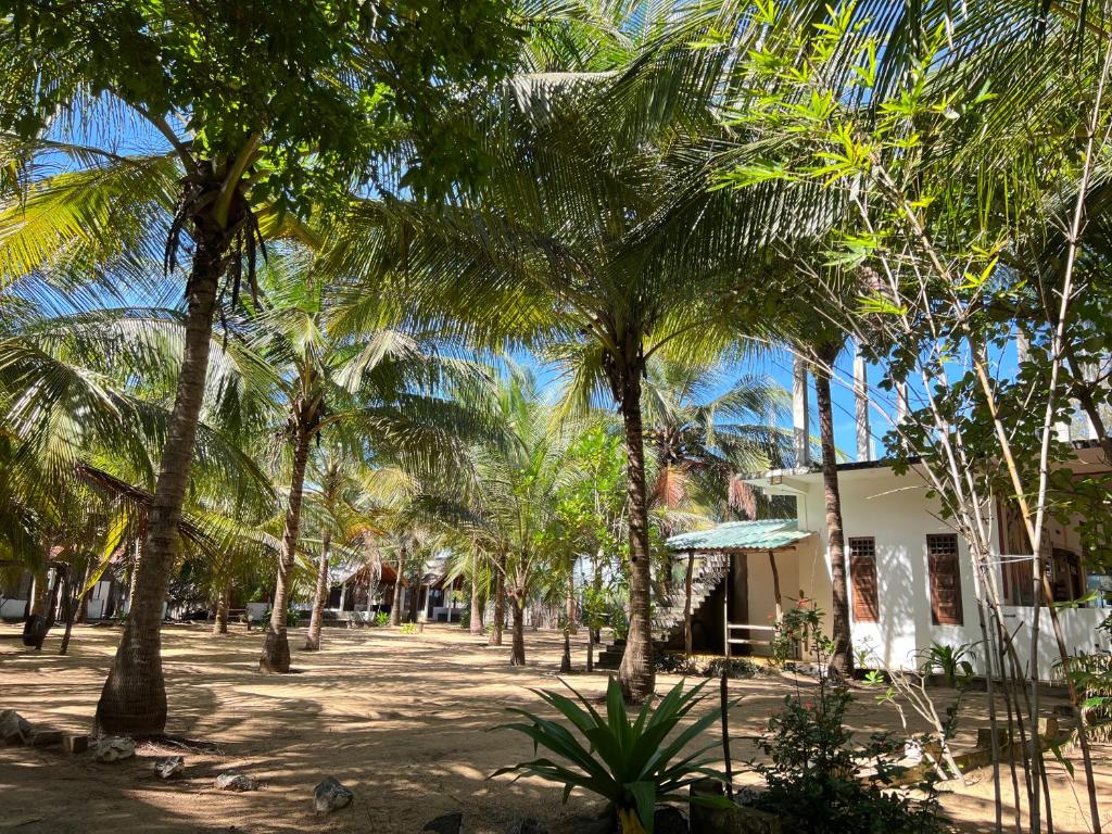 Zahrada ubytování Sand Dune Beach Resort & Surf Camp