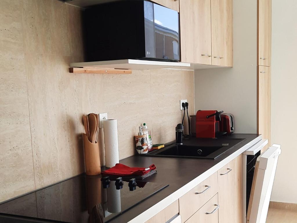 Kuchyň nebo kuchyňský kout v ubytování Superbe 2 chambres avec piscine
